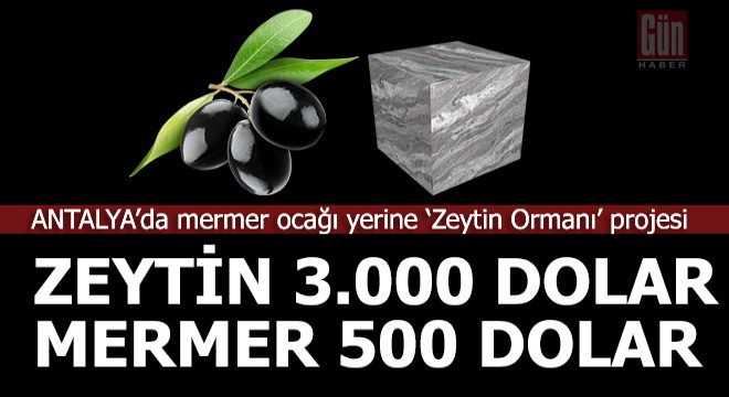 Mermer ocağı yerine 'zeytin ormanı projesi'