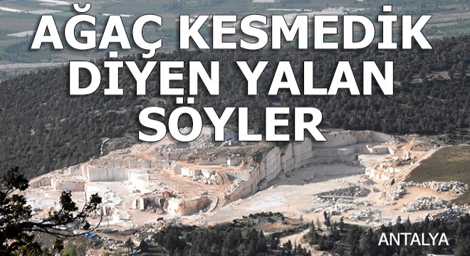 Mermer ocakları sedir ormanlarını tehdit ediyor