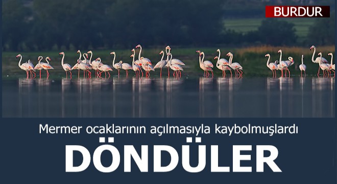 Mermer ocaklarının kaçırdığı flamingolar geri döndü