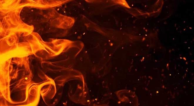 Mersin'de orman yangını 2'nci gününde
