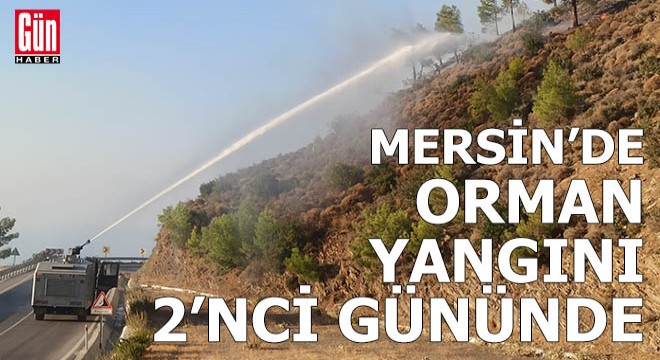 Mersin'de orman yangını 2'nci gününde!