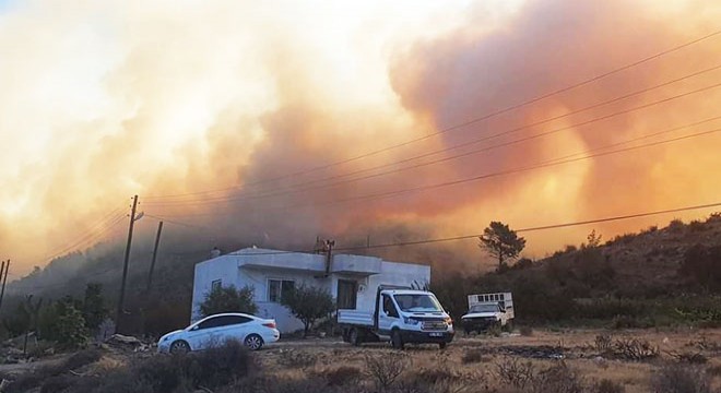 Mersin'de orman yangını