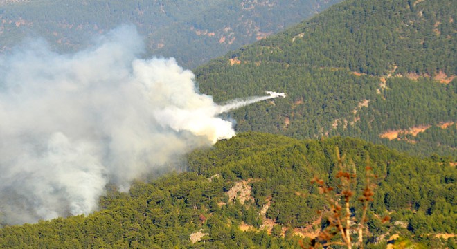 Mersin'deki orman yangınına havadan müdahale yeniden başladı