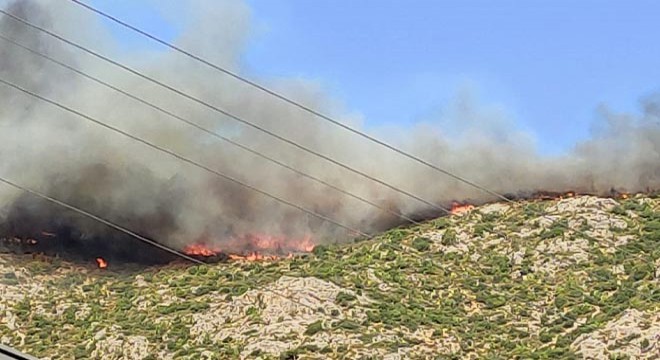 Mersin de iki ilçedeki yangınlar devam ediyor