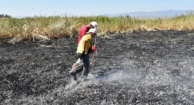 Meteor yangını olduğu iddia edilen alanda gök taşı aradılar