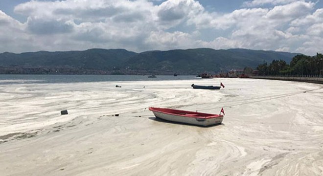 Meteoroloji Uzmanı Özdemir: Hava sıcaklığı müsilajı da artıracak