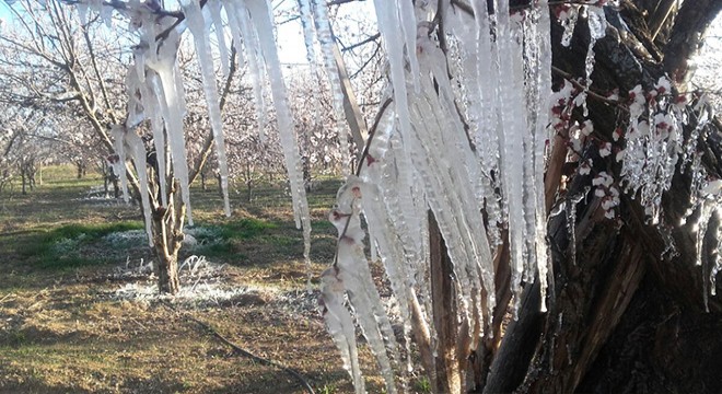 Meteorolojiden 5 il için 'zirai don' uyarısı