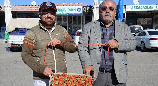 Mevsimin ilk çileği halde 35 lira