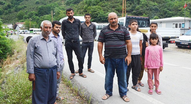Mevsimlik tarım işçileri fındık hasadı için Ordu’da