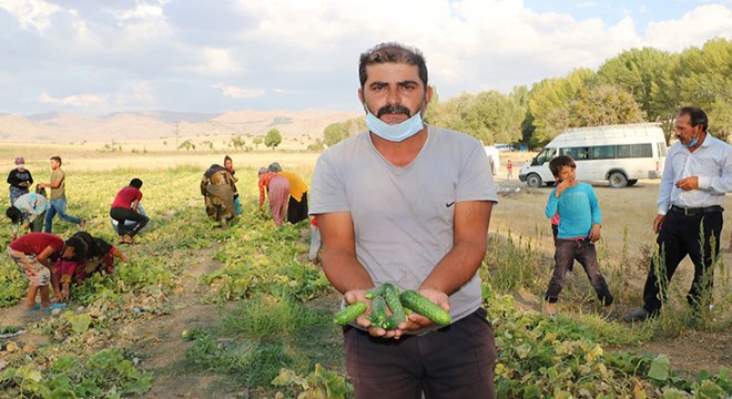 Mevsimlik işçiler alacaklarının ödenmesini istedi