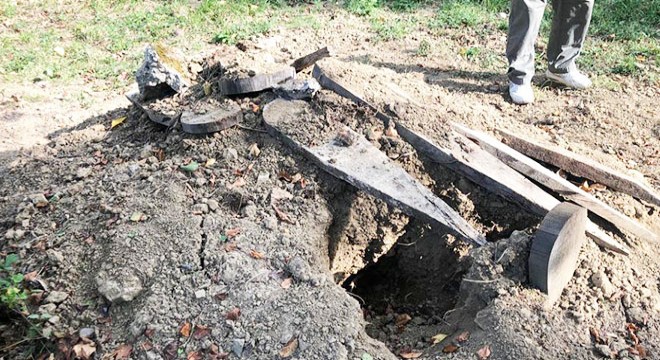 Mezar kazılınca fotokapan kuruldu, çakallar görüntülendi