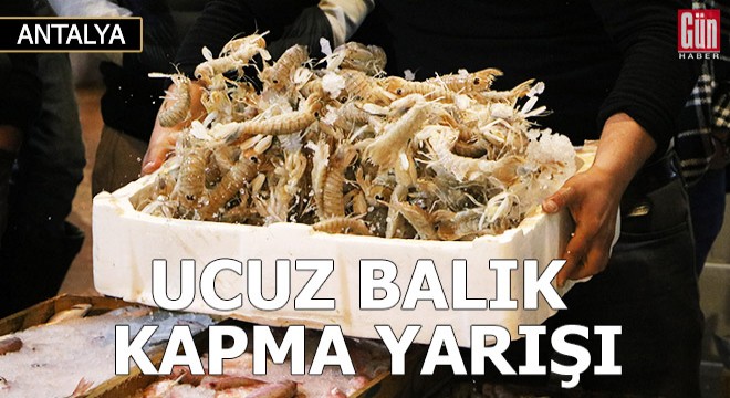 Mezatta ucuz balık kapma yarışı