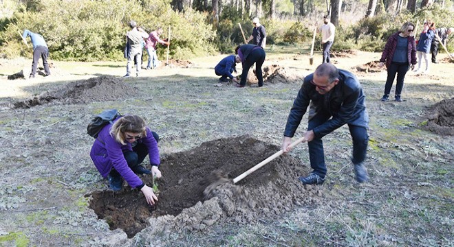 Mezunlardan fidan dikme yarışı