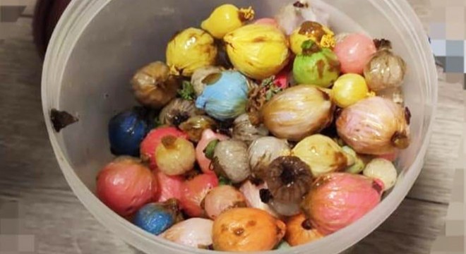Midesindeki uyuşturucu paketleri patlayınca öldü