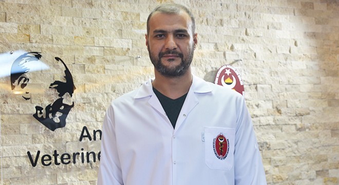 Mikroçip bitti, veterinerler süre uzatımı istedi