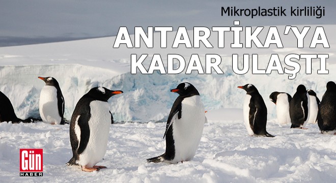 Mikroplastik kirliliği Antarktika'ya kadar ulaştı