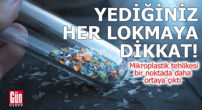 Mikroplastik tehlikesi bir noktada daha ortaya çıktı