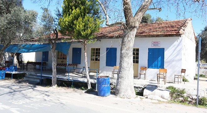 Milas'ta açık 3 kahvehane mühürlendi