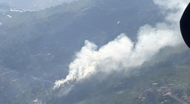Milas'ta orman yangını
