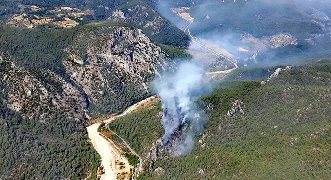 Milas'ta orman yangını çıktı