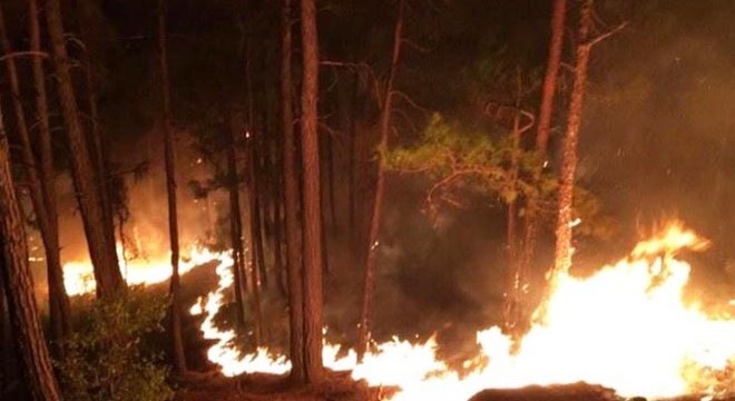 Milas'taki yangında 3'üncü gün