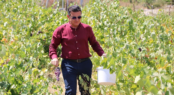 Milletvekili Uslu, Elmalı ve Finike'de