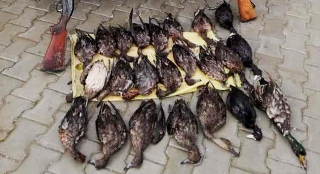 Milli Park'ta kaçak avlanan 3 kişiye ceza yağdı