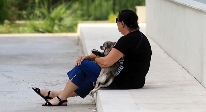 Milli antrenörün cenazesini köpeği 'Kropi' ile bekledi