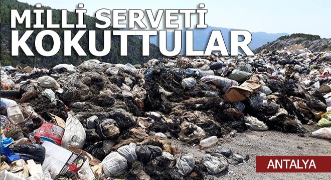 Milli serveti kokuttular
