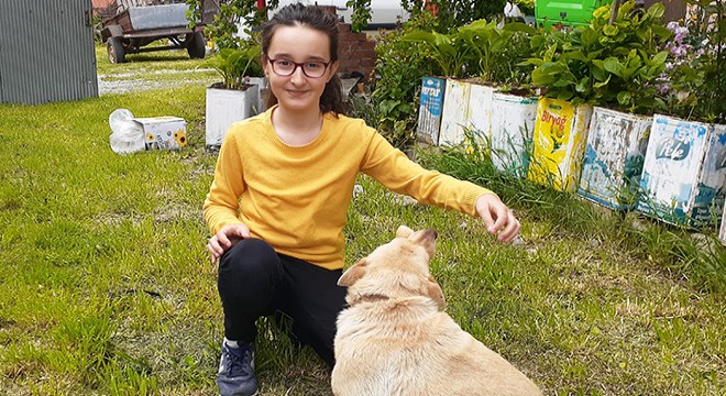 Minik Beren, kısıtlama sonrası köpeği 'Fındık'a koştu