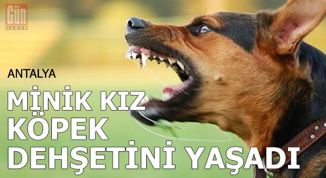 Minik kız, köpek dehşetini yaşadı