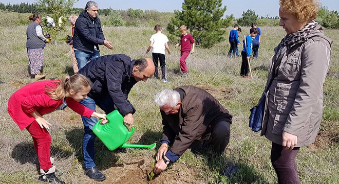 Minik öğrenciler, 100 çam fidesi dikti