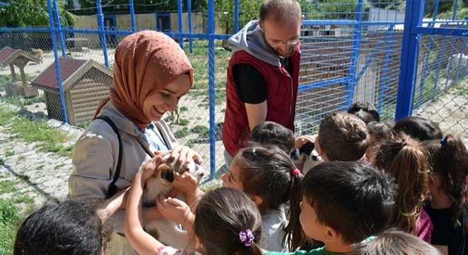 Minik öğrenciler hayvan barınağında