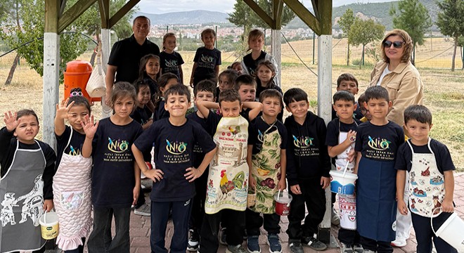 Minik öğrencilerden Antalya da zeytin hasadı