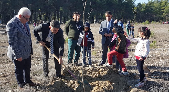 Minikler fidanları toprakla buluşturdu