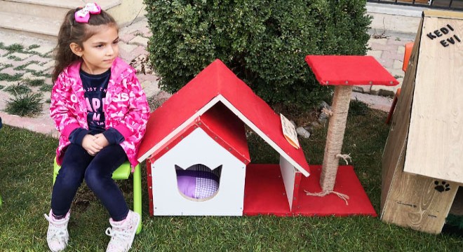 Minikler, sokak hayvanları için barınak oluşturdu