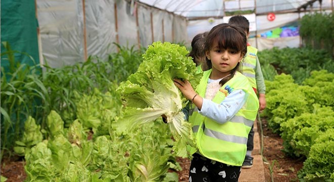 Miniklerin ilk hasadı depremzedelere