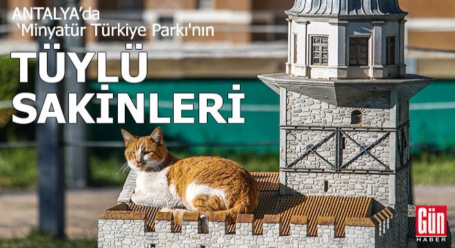 Minyatür Türkiye Parkı'nın tüylü sakinleri