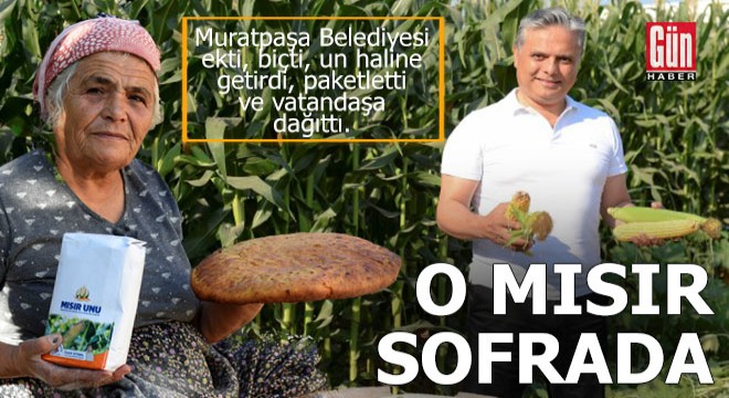 Mısır unundan ekmek yaptı, başkana da gönderdi