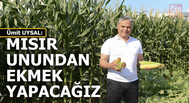 Mısır unundan ekmek yapıp Murtapaşalı ile paylaşılacak