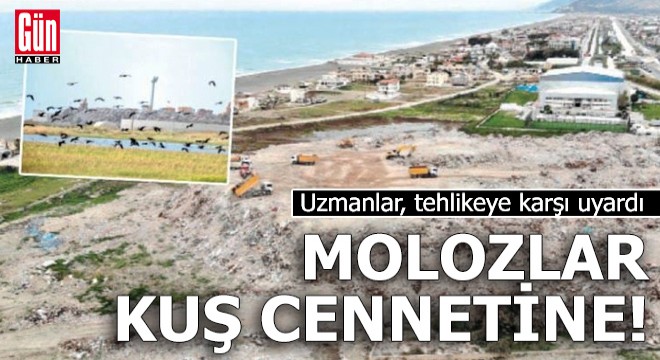 Molozlar kuş cennetine!