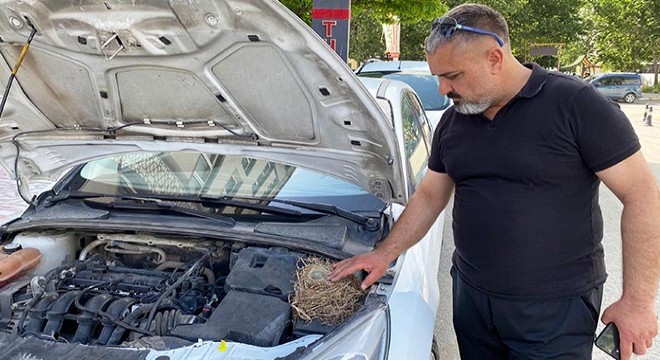 Motor kısmına kuşun yuva yaptığı otomobil kiralıktan çıkarıldı