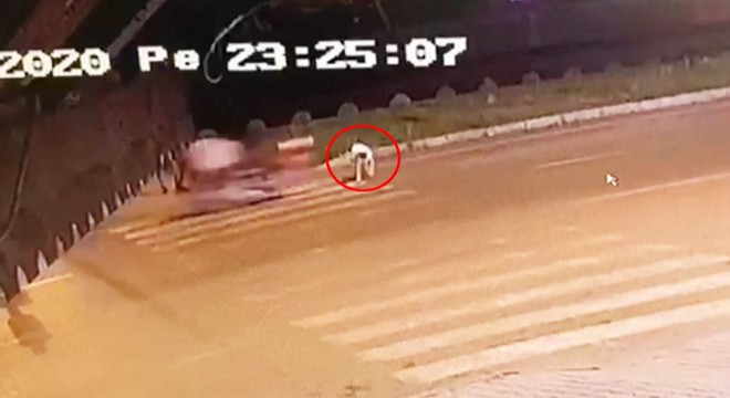 Motosikletin çarptığı köpek öldü, sürücü yaralandı