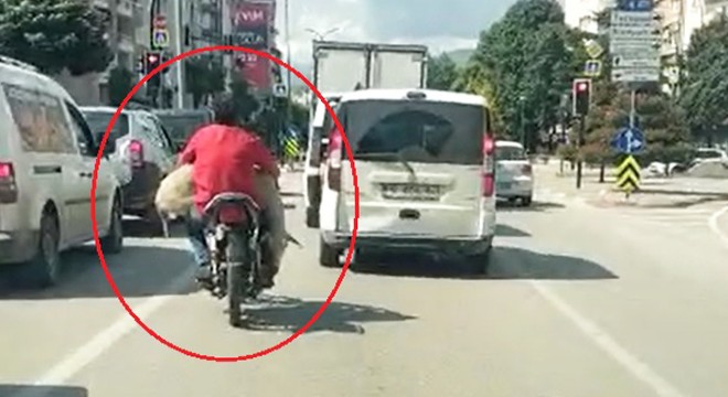 Motosikletiyle küçükbaş hayvan taşıdı