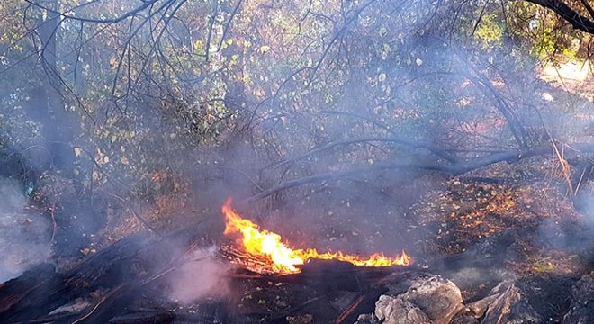 Muğla'da 3 günde yıldırım düşmesi sonucu 37 yangın çıktı