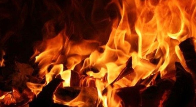 Muğla'da orman yangını