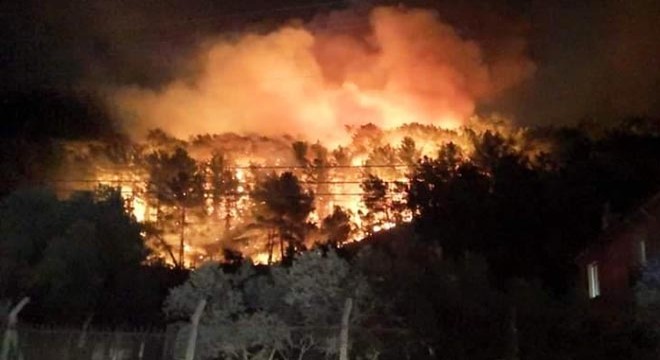 Muğla’da orman yangını