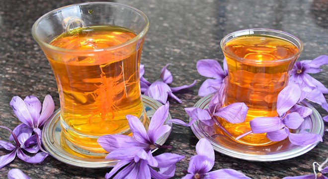 Muğla'da sezonun ilk safran hasadı yapıldı