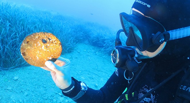 Muğla'nın su altı kültür mirası ortaya çıkıyor