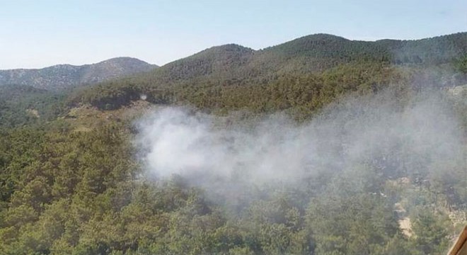 Muğla da orman yangını